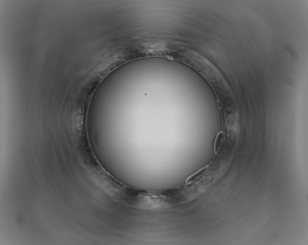 X0000112480372200908171224