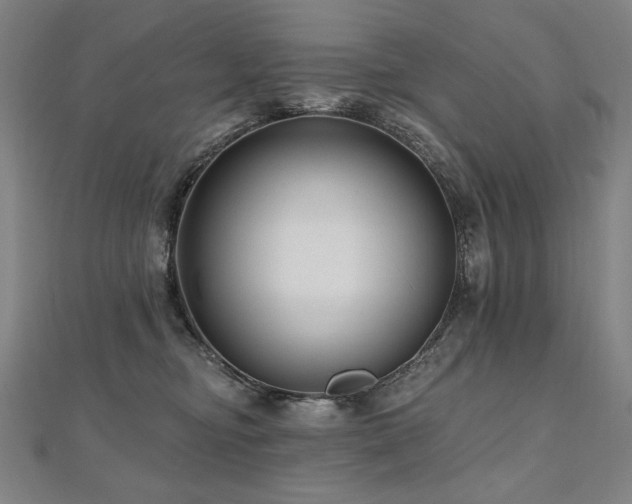 X0000112480374200908171224