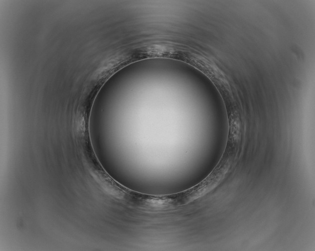 X0000112480375200908171224