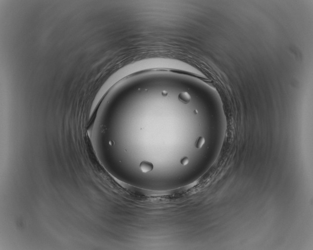 X0000112480376200908171224
