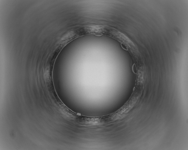 X0000112480377200908171225