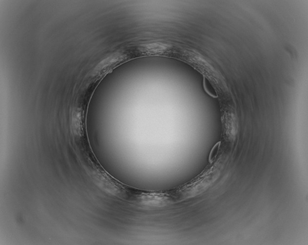 X0000112480378200908171225