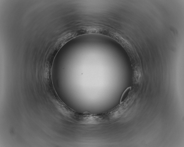 X0000112480379200908171225