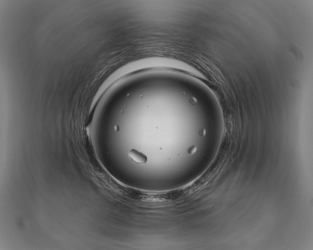 X0000112480380200908171225