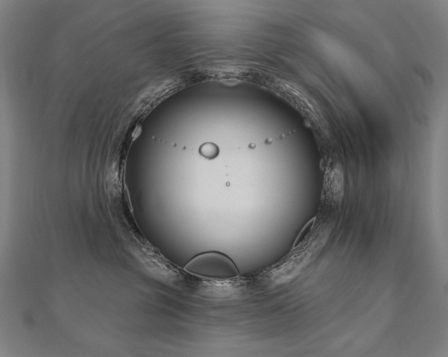 X0000112480381200908171225