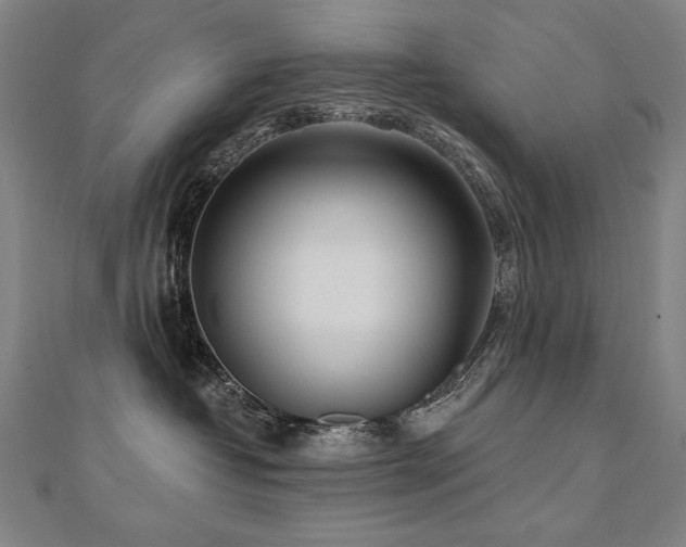 X0000112480382200908171225