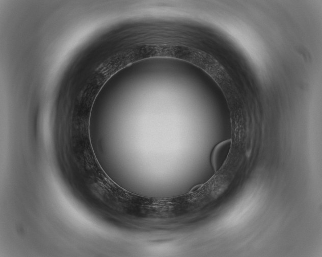X0000112480383200908171225
