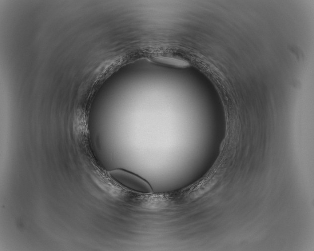 X0000112480384200908171225
