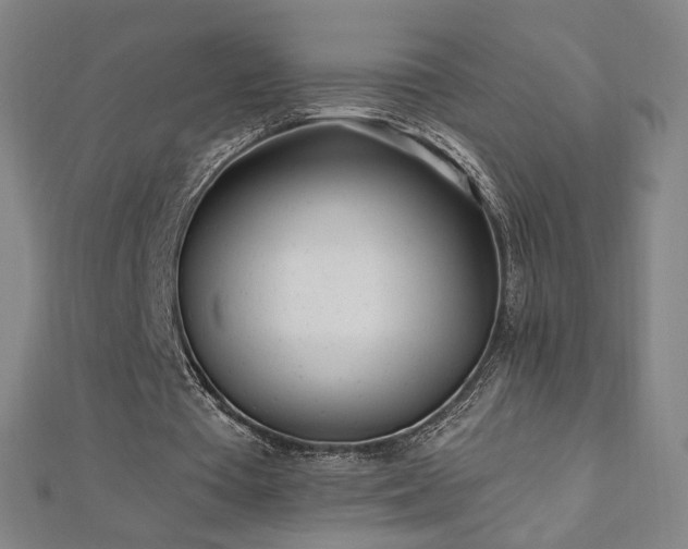 X0000112480385200908171224