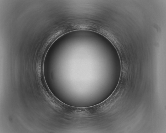 X0000112480386200908171224