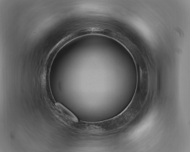 X0000112480387200908171224