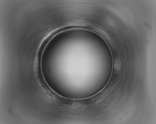 X0000112480388200908171224