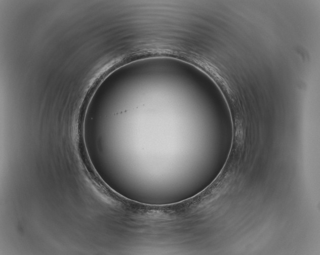 X0000112480390200908171224