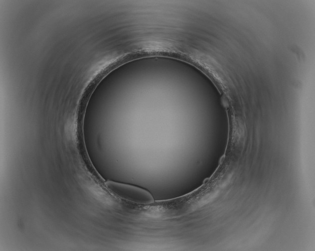 X0000112480391200908171224