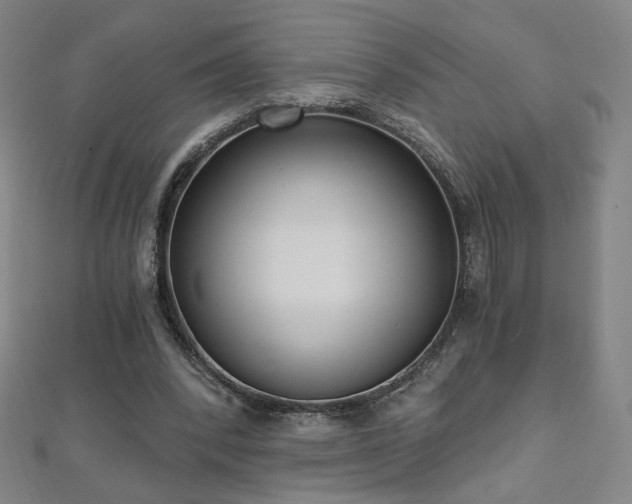 X0000112480392200908171224