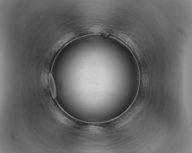 X0000112480393200908171224