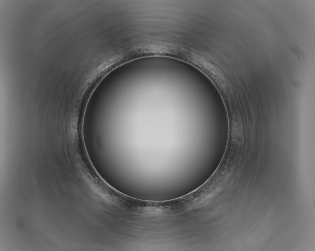 X0000112480394200908171224