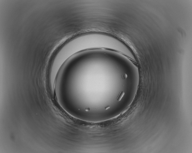 X0000112480395200908171224