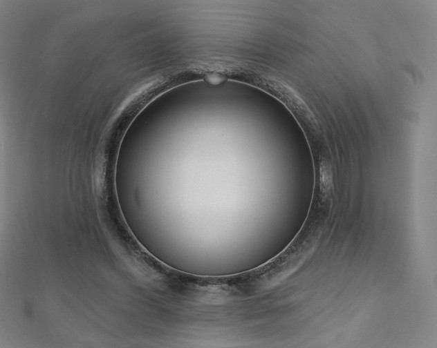 X0000112480396200908171224