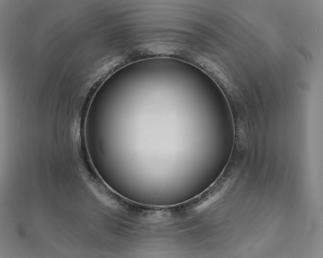 X0000112480398200908171224