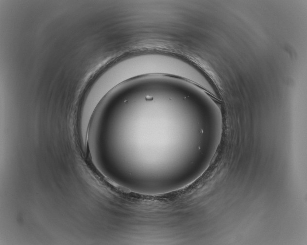 X0000112480399200908171224