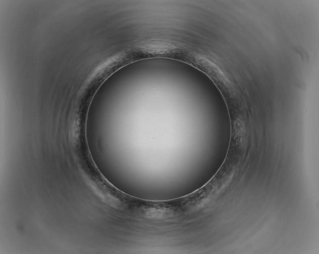 X0000112480400200908171224