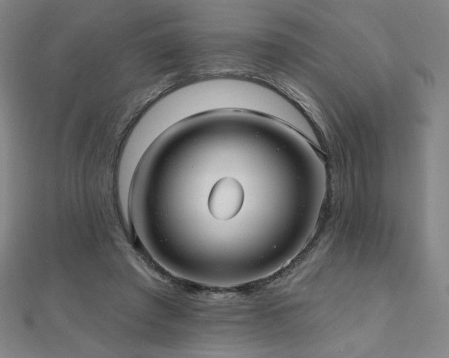 X0000112480401200908171224