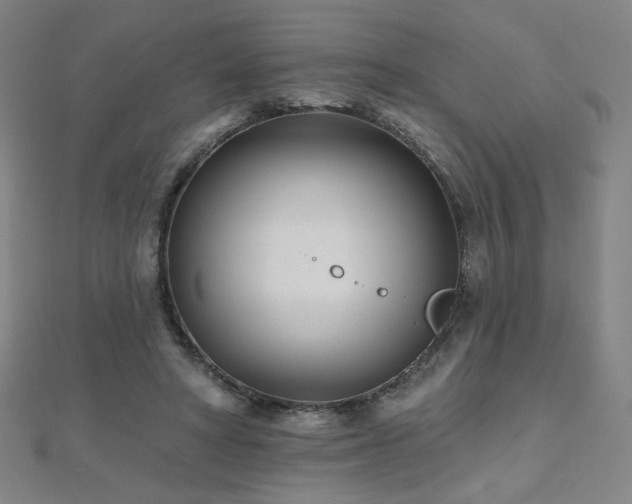X0000112480402200908171224