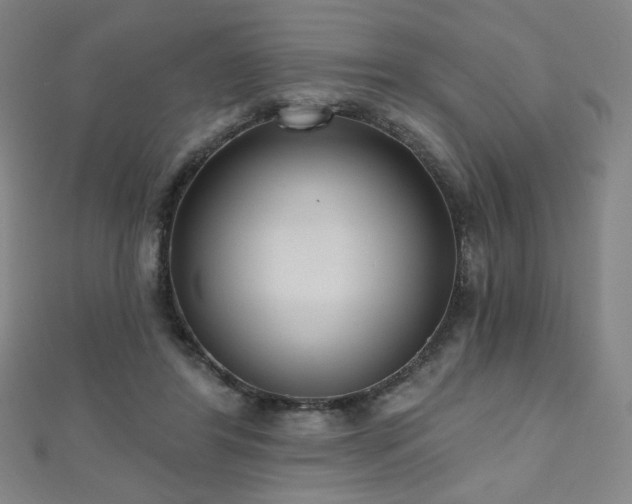X0000112480404200908171224