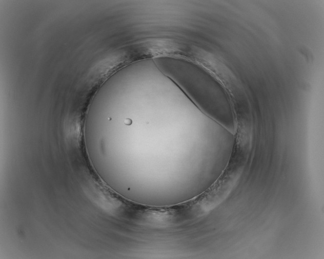 X0000112480405200908171224