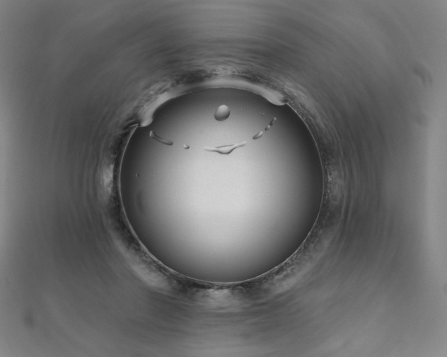 X0000112480406200908171224