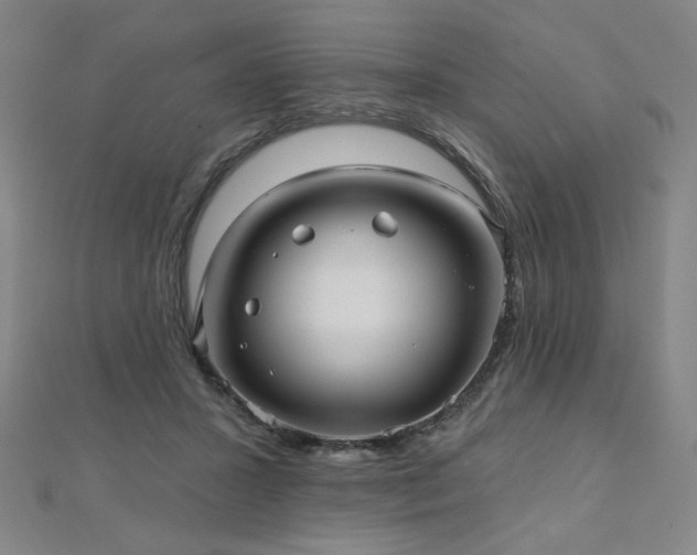X0000112480407200908171224