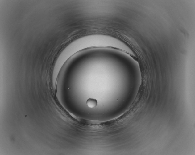X0000112480409200908171224