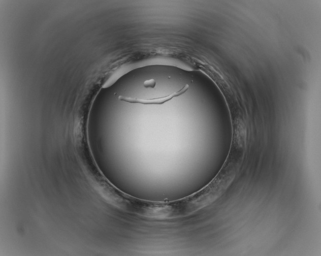 X0000112480410200908171224