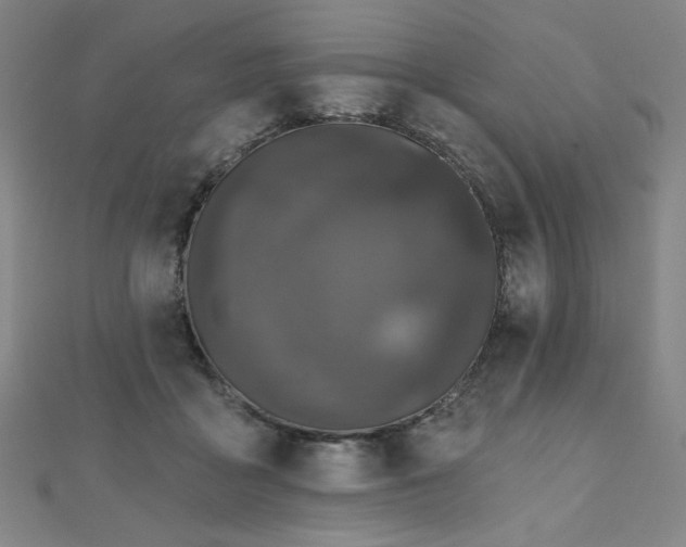 X0000112480411200908171224