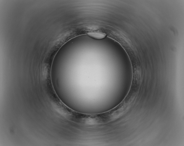 X0000112480412200908171224