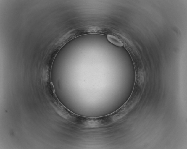 X0000112480413200908171224