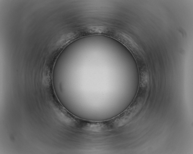 X0000112480414200908171224