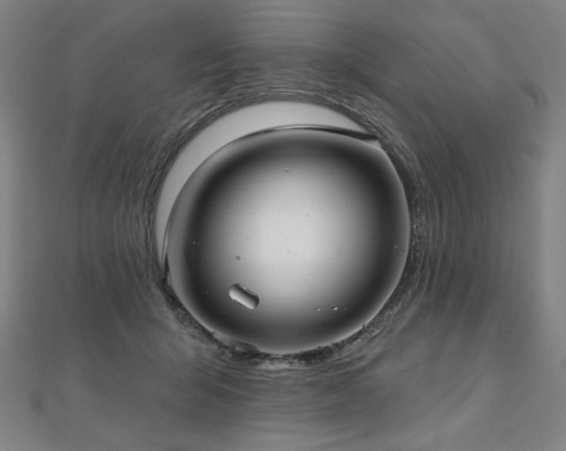 X0000112480415200908171224