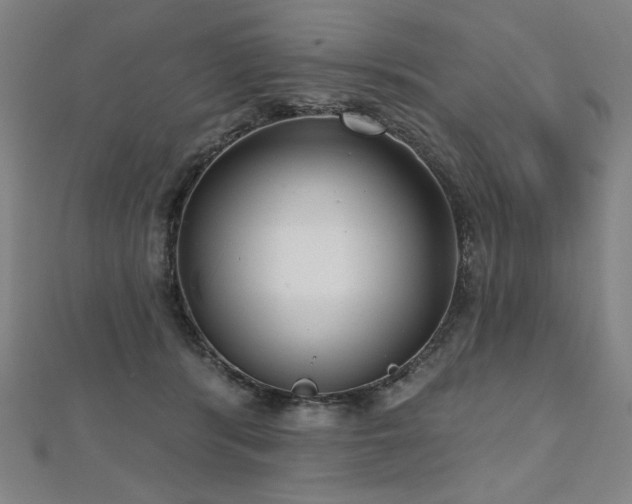 X0000112480416200908171224