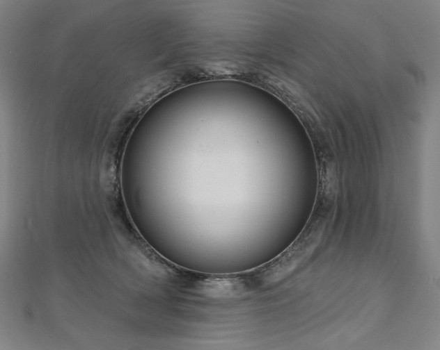 X0000112480418200908171224