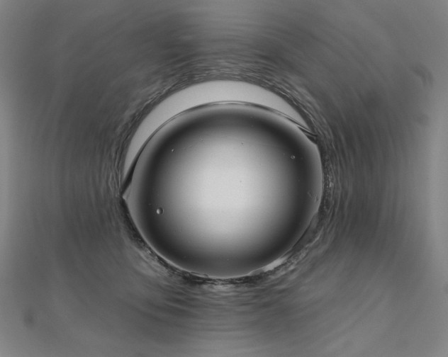 X0000112480419200908171224