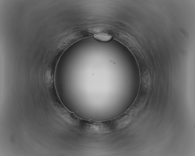 X0000112480420200908171224