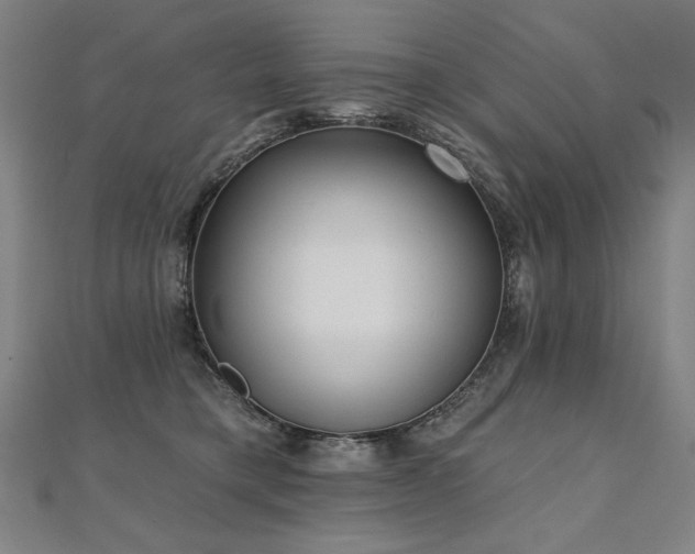 X0000112480421200908171224