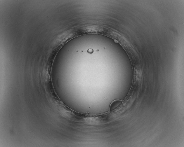 X0000112480422200908171223