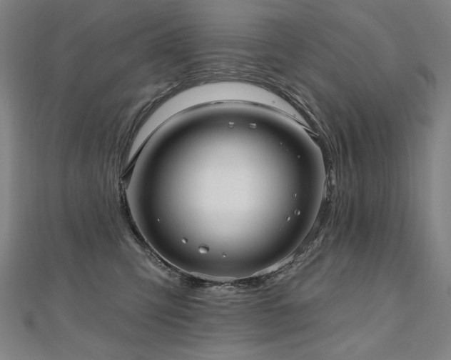 X0000112480423200908171223