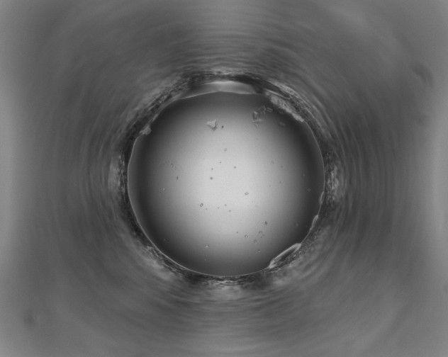 X0000112480424200908171223