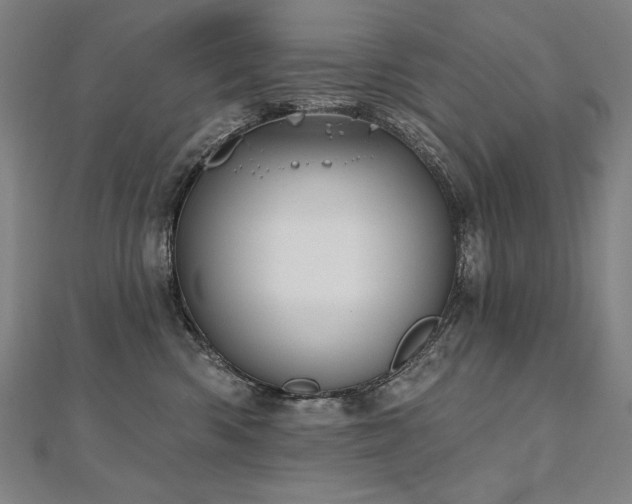 X0000112480426200908171223