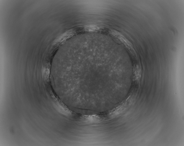 X0000112480427200908171223