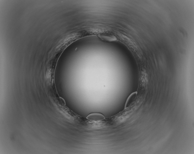X0000112480428200908171223